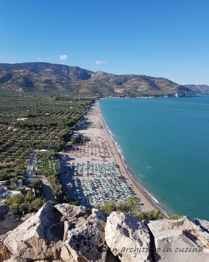 VILLA MAMITAS - Terrazza panoramica - box privato - servizio spiaggia Siponto Esterno foto